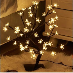 LumeNest - The Cozy Glow